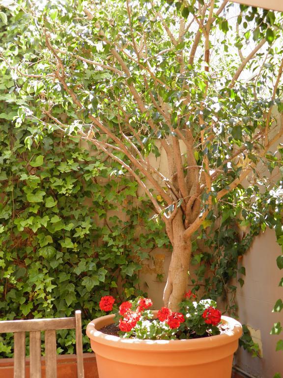 Suitur Courtyard Apartment Barcelone Extérieur photo